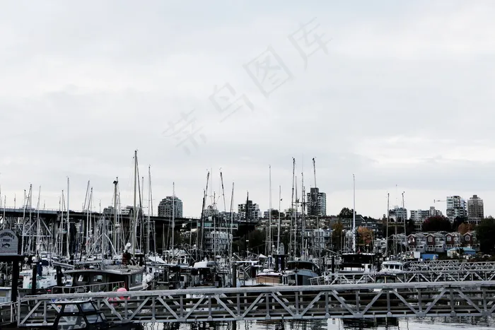 城市港口图片