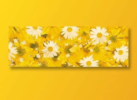 黄色的花朵全景摄影环境贴图 黄色的花朵全景摄影环境贴图