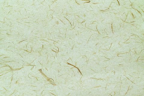 复古风信封花纹条纹横板图片背景素材PNG (32) 复古风信封花纹条纹横板图片背景素材PNG (32)