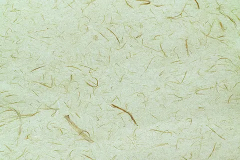 复古风信封花纹条纹横板图片背景素材PNG (32) 复古风信封花纹条纹横板图片背景素材PNG (32)