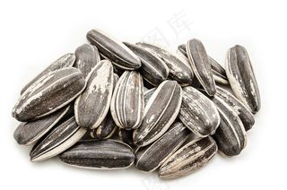 粒大饱满的葵花籽高清图片