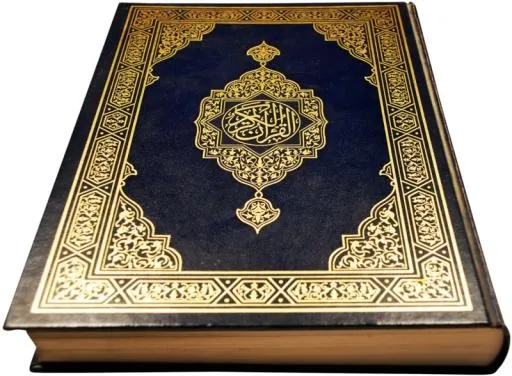 * PNG免抠(800x589)