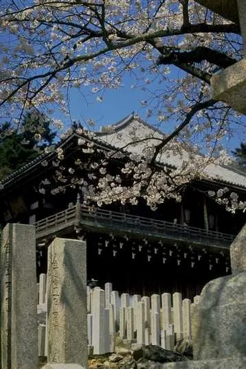 特色建筑 529