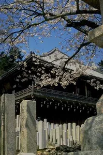 特色建筑 529 特色建筑 529