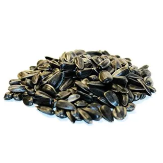 向日葵种子 PNG免抠