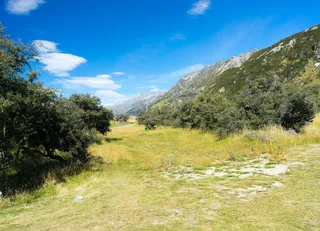户外 山路空地 荒地
