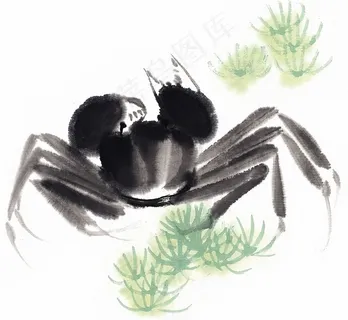 国画鱼虾蟹龟艺术绘画jpg素材 国画鱼虾蟹龟艺术绘画jpg素材