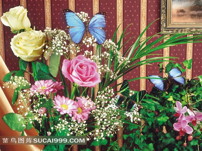 蝴蝶玫瑰花菊花素材