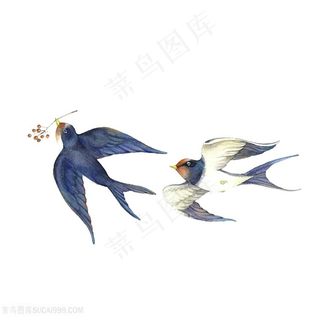 手绘燕子插画