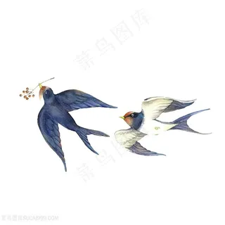 手绘燕子插画