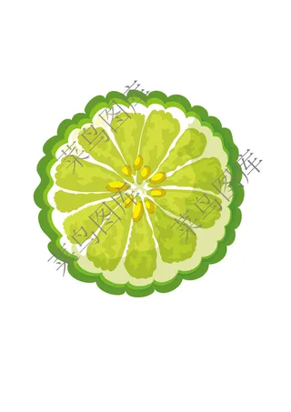 青柠檬片素描图