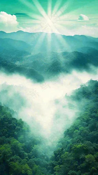 中国风高山绿植森林丛林，阳光蓝天白云，户外