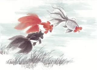 鱼虾蟹龟设计摄影图片