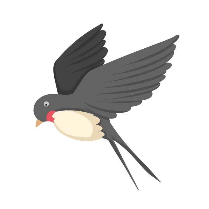 水彩手绘春季春天柳树柳条枝条小鸟小燕子元素PSD设计素材PNG图片psd模版下载