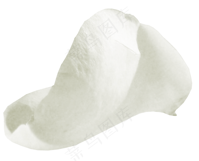 花瓣花朵免扣图片 