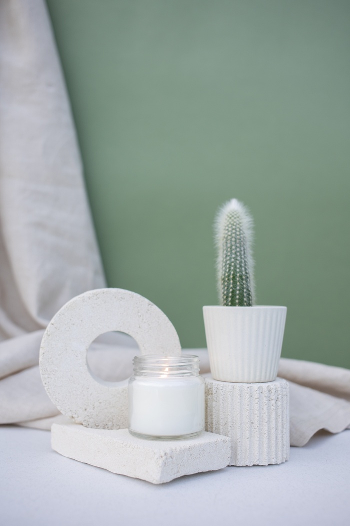 绿色仙人掌仙人球摄影素材