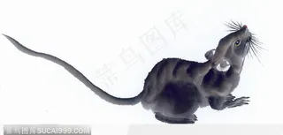 水墨画老鼠图