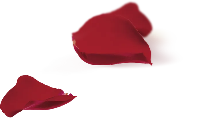 花朵古典元素传统
