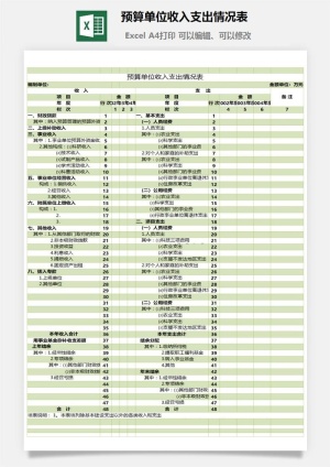 预算单位收入支出情况表