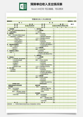 预算单位收入支出情况表