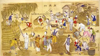 农忙场景高清图