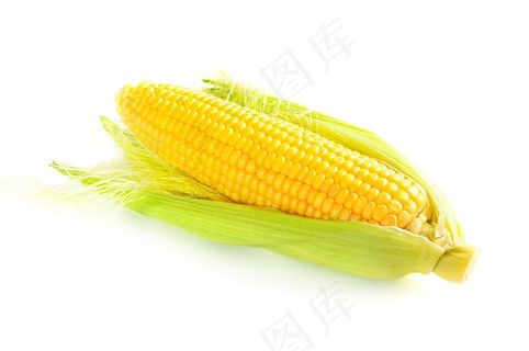 没剥开的玉米高清图片