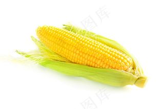 没剥开的玉米高清图片