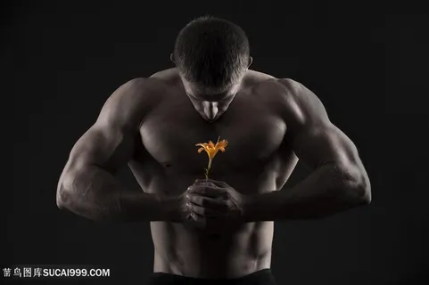 拿朵鲜花的肌肉猛男图片 拿朵鲜花的肌肉猛男图片