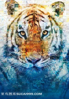 孟加拉虎眼中的世界电影海报