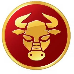 金牛座 PNG免抠(300x300)