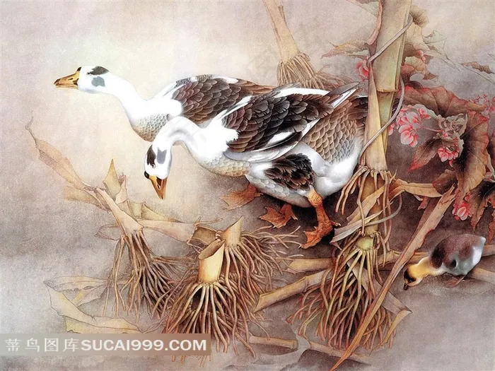 精美鹅玉米秆花鸟素材