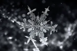 雪花白雪冬天摄影图