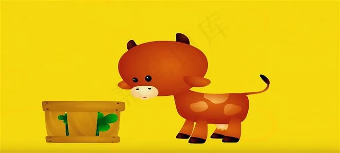 吃叶子的小牛
