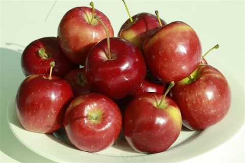 新鲜的苹果图片