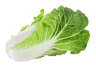 大白菜 (4)超市商品白底图免抠实物摄影png格式图片透明底