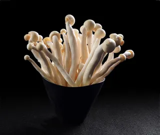 蘑菇香菇金针菇杂菇菌类美食素菜