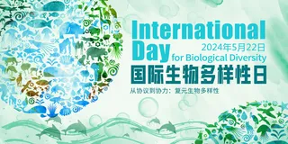 水墨风国际生物多样性日展板