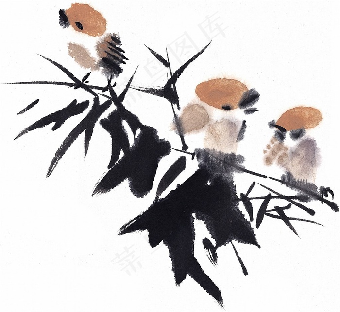 国画鸟国画图片素材