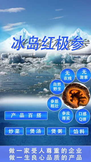 冰岛红极参海参