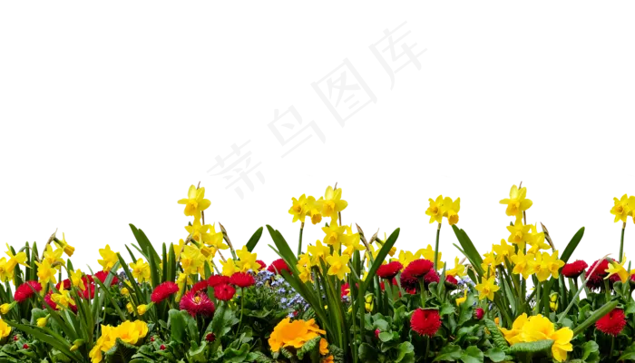花, 自然, 植物, 花园, 春天