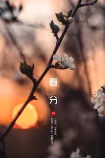 竖屏春分图片 竖屏春分图片
