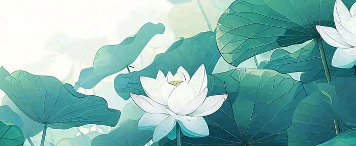 夏天荷花荷叶手绘绿色插画，夏至小暑大暑(1712x704)