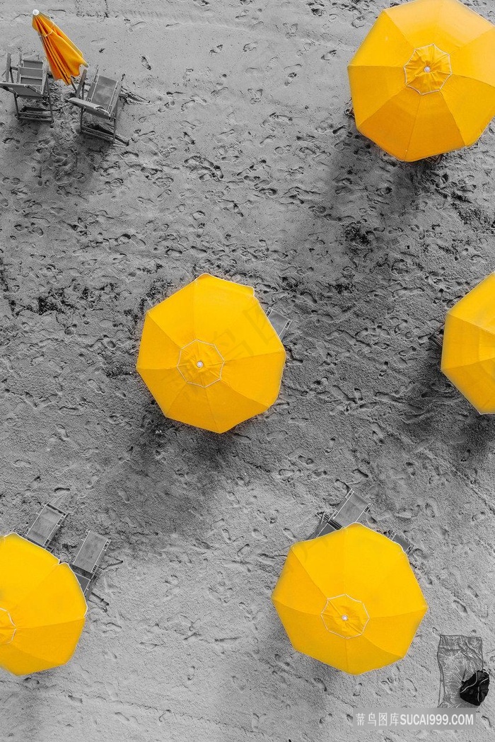 唯美小黄伞装饰画