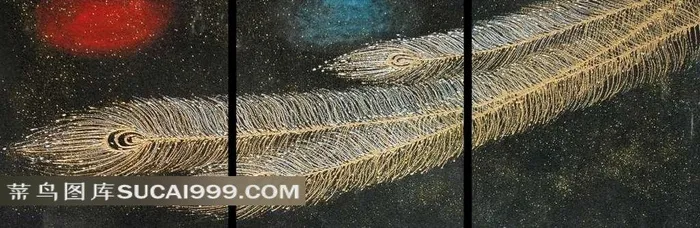 黑色背景的羽毛装饰画