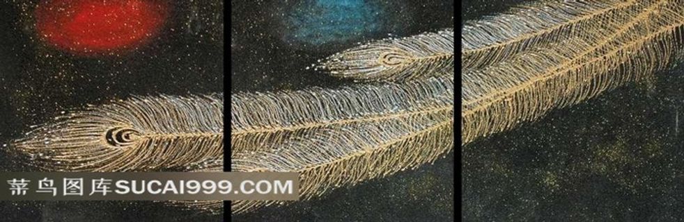 黑色背景的羽毛装饰画