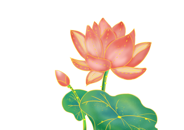 国潮插画风荷花元素