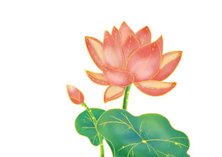 国潮插画风荷花元素