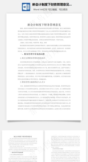 新会计制度下财务管理意见word文档
