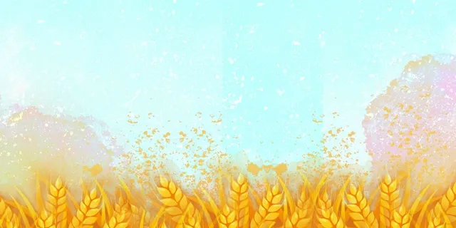 金色小麦背景