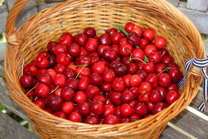 篮子里的樱桃图片